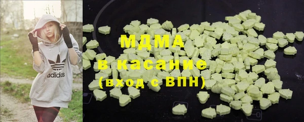 индика Каменка