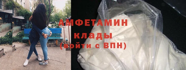 тгк Пересвет