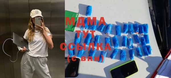 индика Каменка