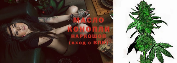 индика Каменка