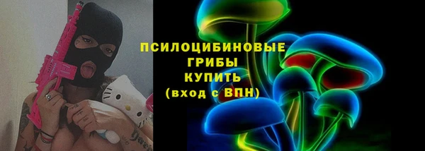 прущая мука Каменногорск