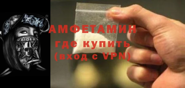 индика Каменка