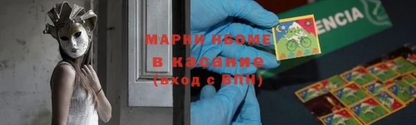 индика Каменка