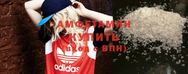 индика Каменка