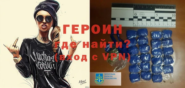 индика Каменка