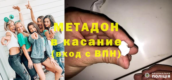 индика Каменка