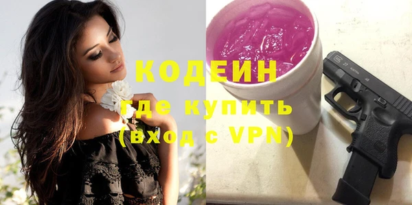 индика Каменка