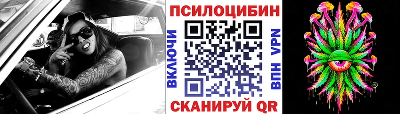Галлюциногенные грибы Psilocybe  гидра маркетплейс  Костерёво 